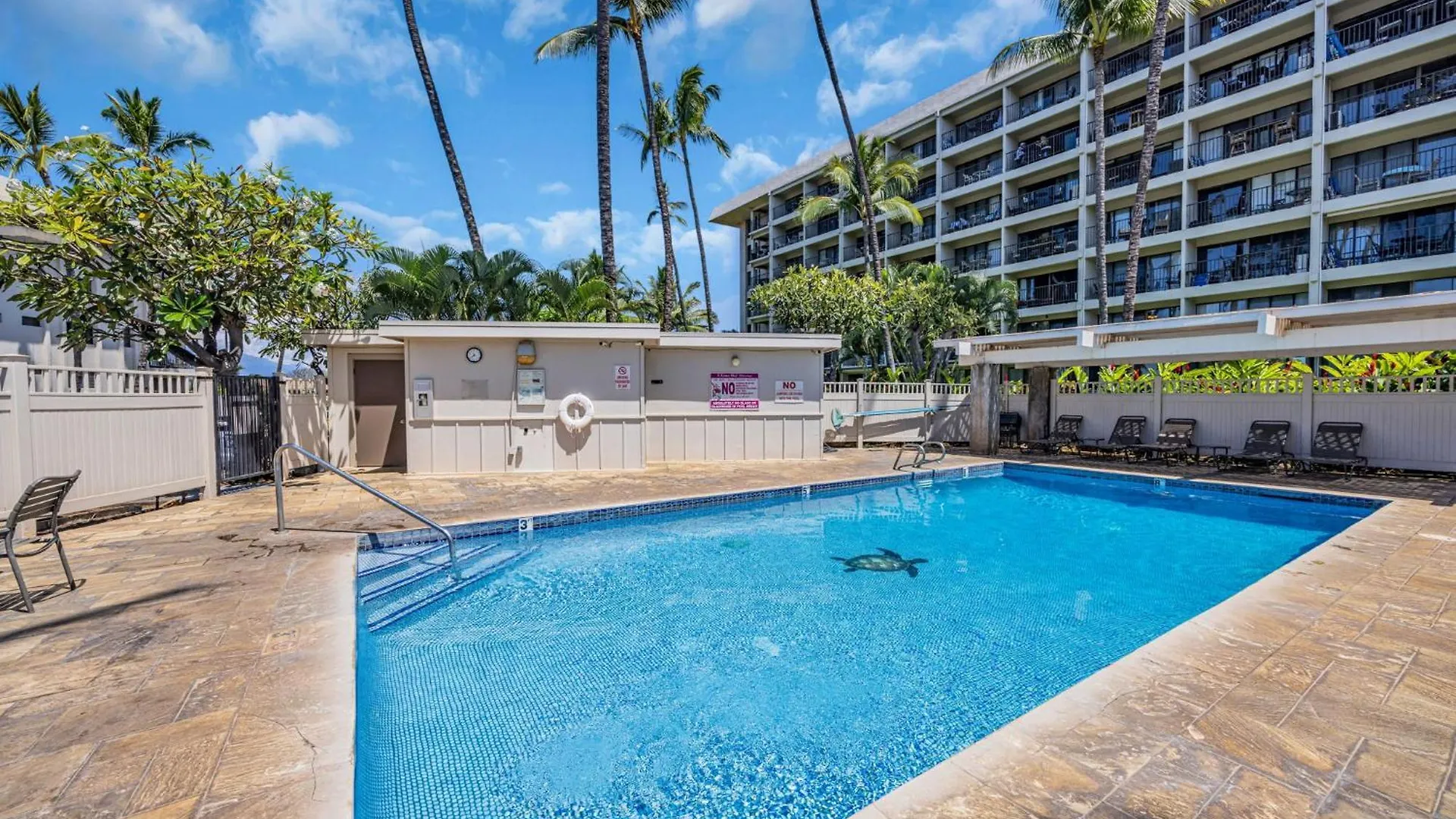 Kac201 Across From The Beach - Cozy Studio With Ocean View Wailea  Verenigde Staten